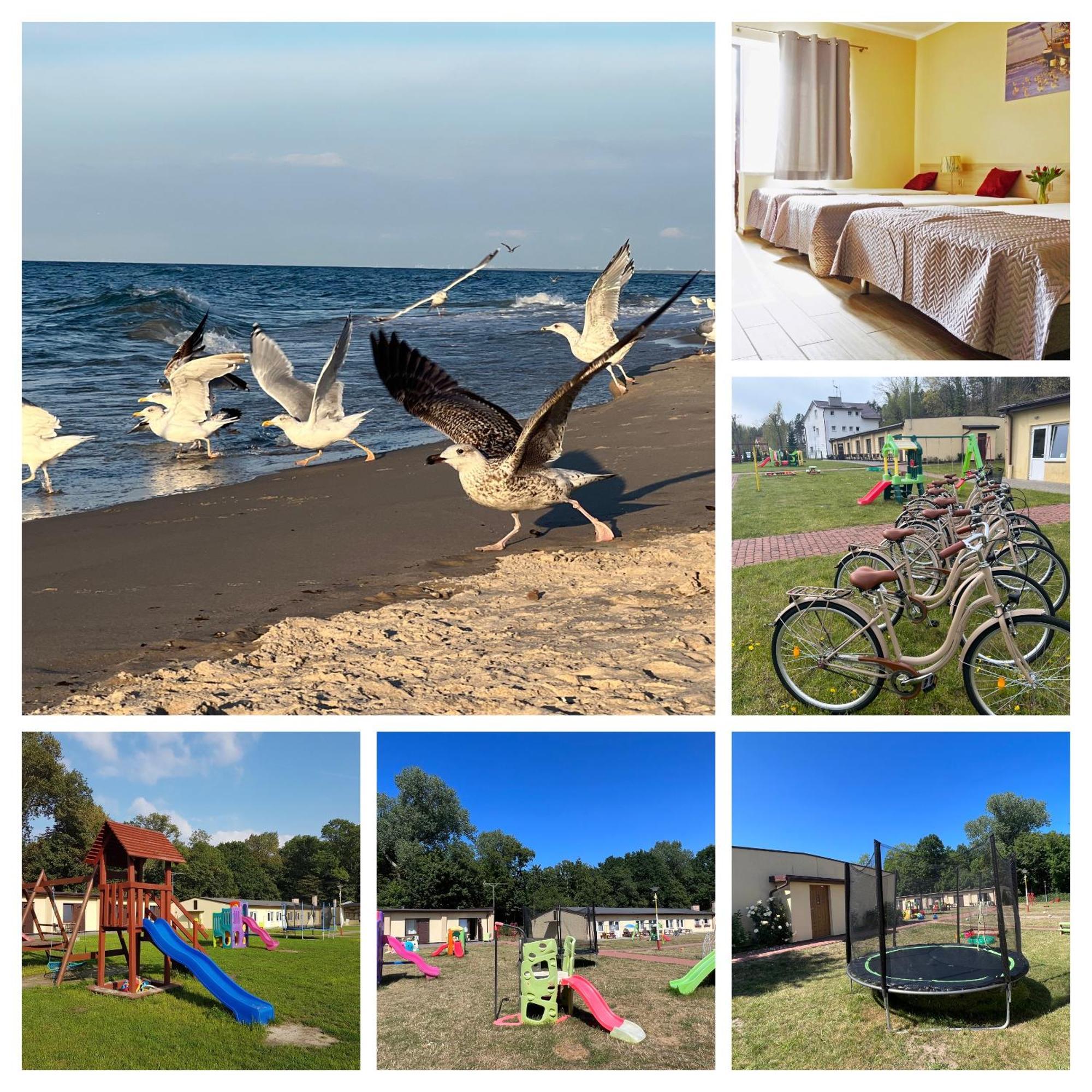 Osrodek Rodzinny "Pod Wydmami" Przy Plazy , Plac Zabaw , Rowery Sarbinowo Exterior foto